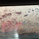 새차하기 좋은날 이미지