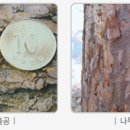 서부농약사 이미지