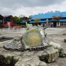 양곡교회 앞 | 완주 삼례책마을 북하우스 후기｜삼례문화예술촌 산책코스 전북 가볼만한곳