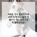 전치과 의원 이미지