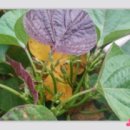 신우정유치원 이미지