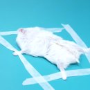 세신샵 결 이미지