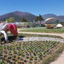 거제시농업개발원 이미지