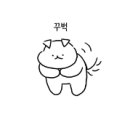 해동카서비스 이미지