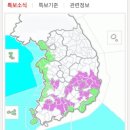 여러분 마트모 피해 없으신지요??? 이미지