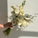 고유지 | 청주 고유스튜디오 촬영상담 후기｜웨딩 촬영 시안 공유까지