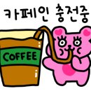 미휘월헤어살롱 이미지