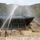 요사채 이미지