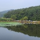 여주-1079 이미지