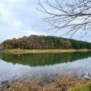 국립군산대학교박물관 이미지