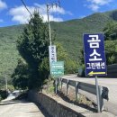 곰소그린 이미지