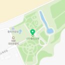 대광이발