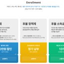노아노마드