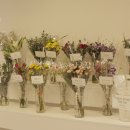 주정차046 이미지