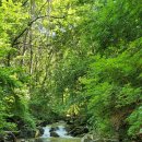 펜션하바별시 이미지