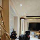 하도탐나 이미지