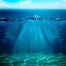 지니케어 이미지