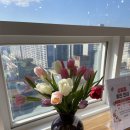 리노성형외과의원 이미지