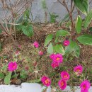 고전문학, 세계사와 함께 읽기 이미지