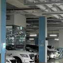 회인목장 | [판교 해산물 뷔페] 마키노차야