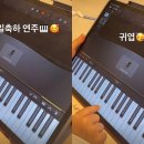 고사리곡 이미지