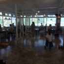 도그파우 이미지