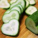 진리오이 이미지