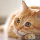 동광주약국 이미지