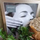 동진셀프세차장 이미지