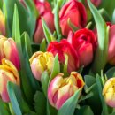 버스정류소_마곡역 이미지