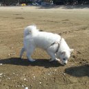 몽산포 오토켐핑장 다녀왔어요... 이미지