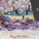 예쓰멍! 이미지