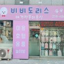 비비도리스 애견샵 티스토리
