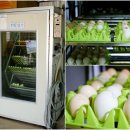 남당농장 이미지