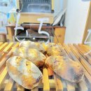 느루디저트&커피 | 강릉 빵느루 베이커리 후기｜강릉역 근처 치아바타·사워도우 맛집, 강릉 빵지순례 추천