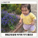 불광2동주민센터 | 향림근린공원 향림도시농업체험원 불광2동 공원 은평구 공원 아기랑 갈만한곳 추천