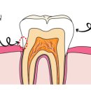 똑디치과의원 이미지