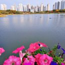 죽백근린공원1 이미지