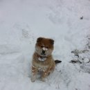 복둥이농장 이미지