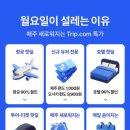 제주미주호텔 | 트립닷컴 할인코드 12월 삿포로 항공권 호텔 예약