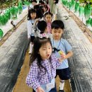 이레농장2 이미지