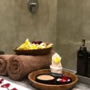 더 케어(THE CARE) 이미지