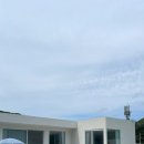 수수상라 이미지