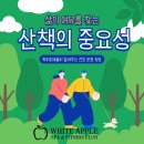 화이트애플피트니스 이미지