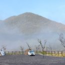 플로라 캠프 이미지