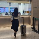 구름PC | 기내용 캐리어 추천 항공기 소재로 만든 캐리어 태교여행 사용후기 [죠즈 구름캐리어 20인치 웜그레이 ]