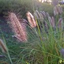 한결초등학교 이미지