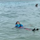 (유)준렌트카 이미지