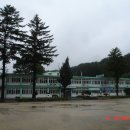 금대초등학교 이미지