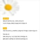 비디오하우스 이미지